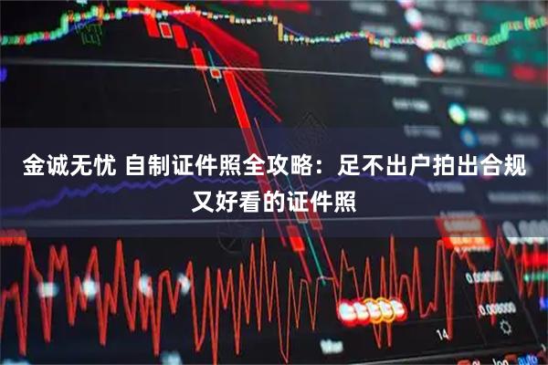 金诚无忧 自制证件照全攻略：足不出户拍出合规又好看的证件照