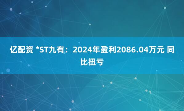 亿配资 *ST九有：2024年盈利2086.04万元 同比扭亏