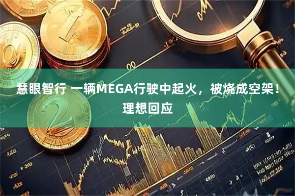 慧眼智行 一辆MEGA行驶中起火，被烧成空架！理想回应